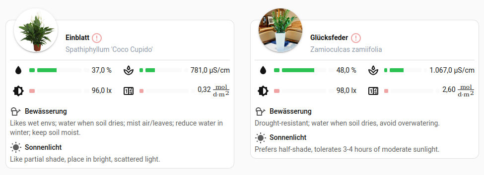 Es grünt so grün – smarte Zimmerpflanzen